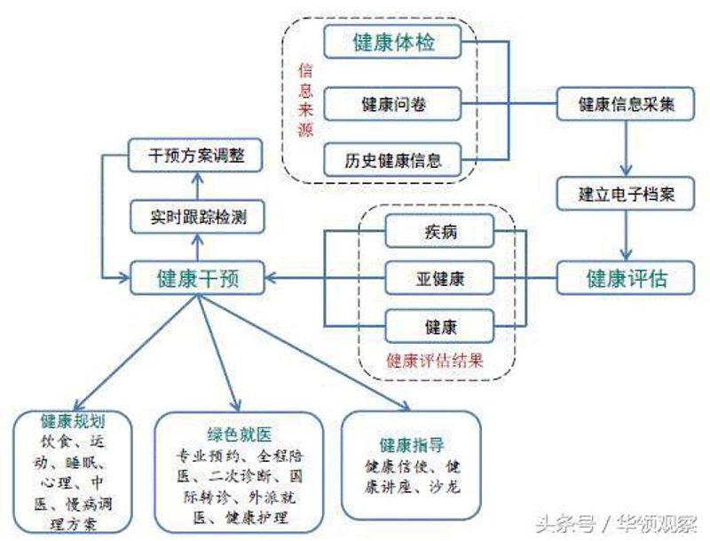 健康干预方案